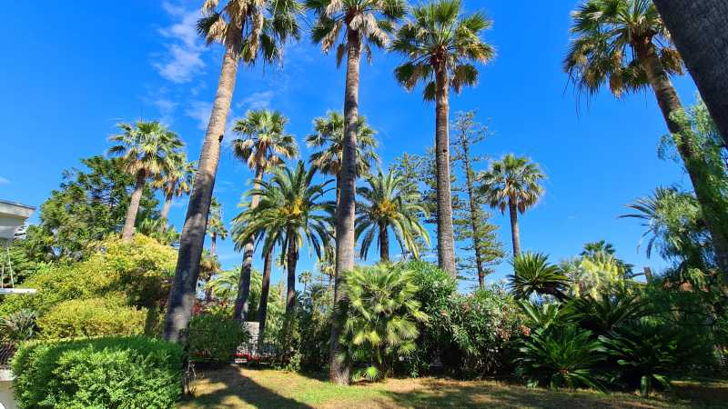 Miesto centre, Sanremo vila.